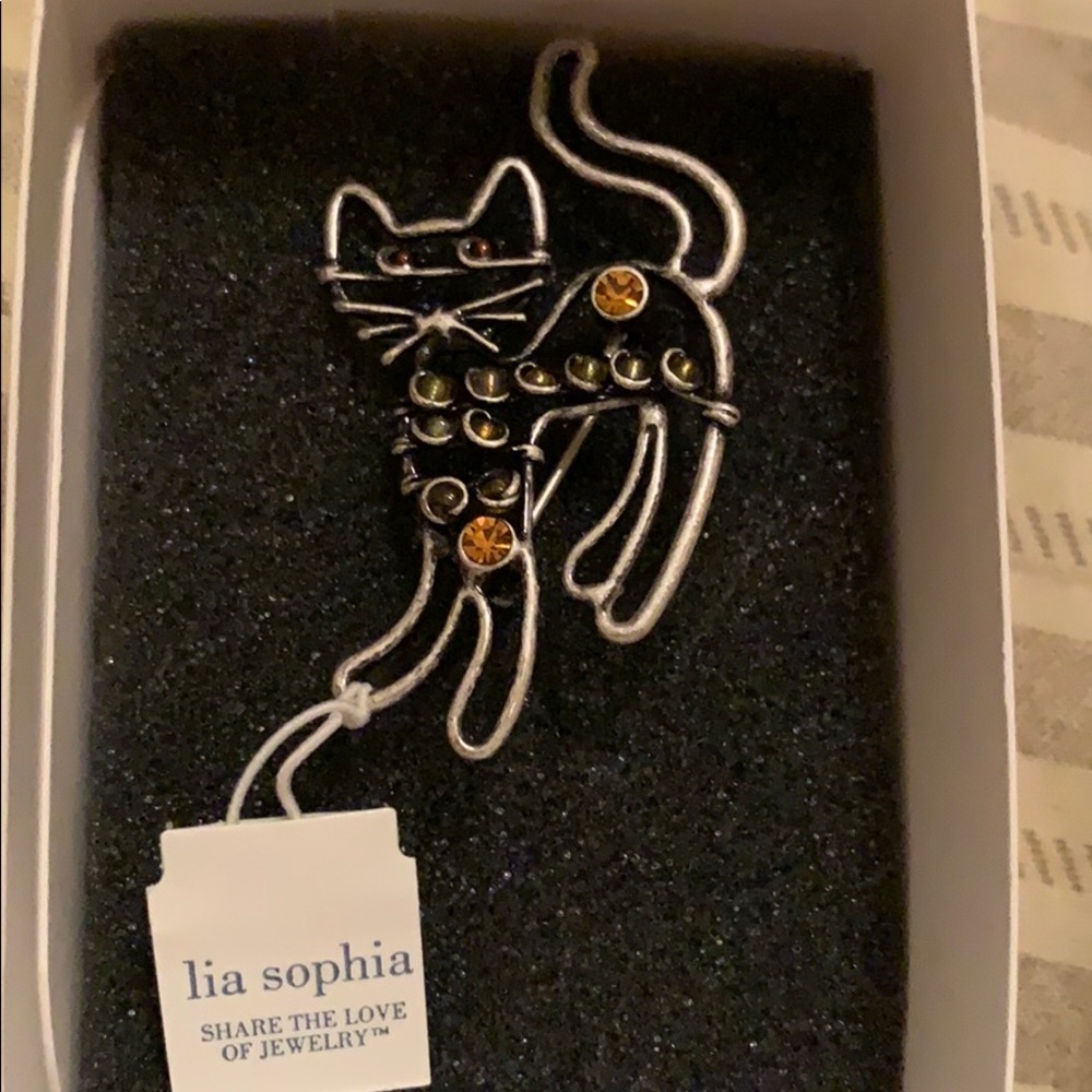 Lia Sophia Cat pin
